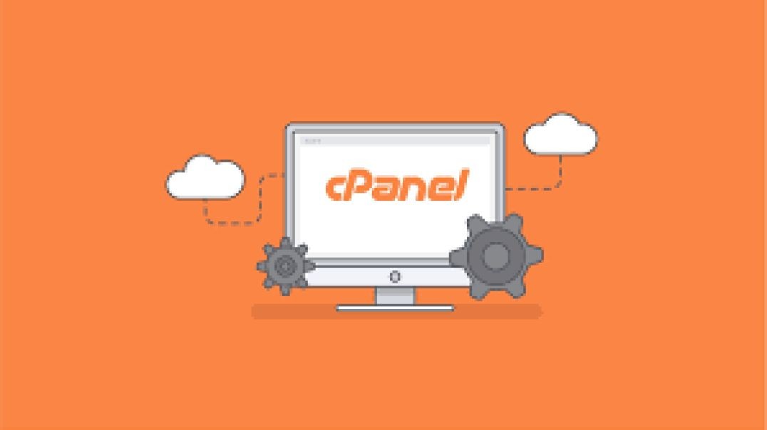 How To Optimize The Performance Of Your Website